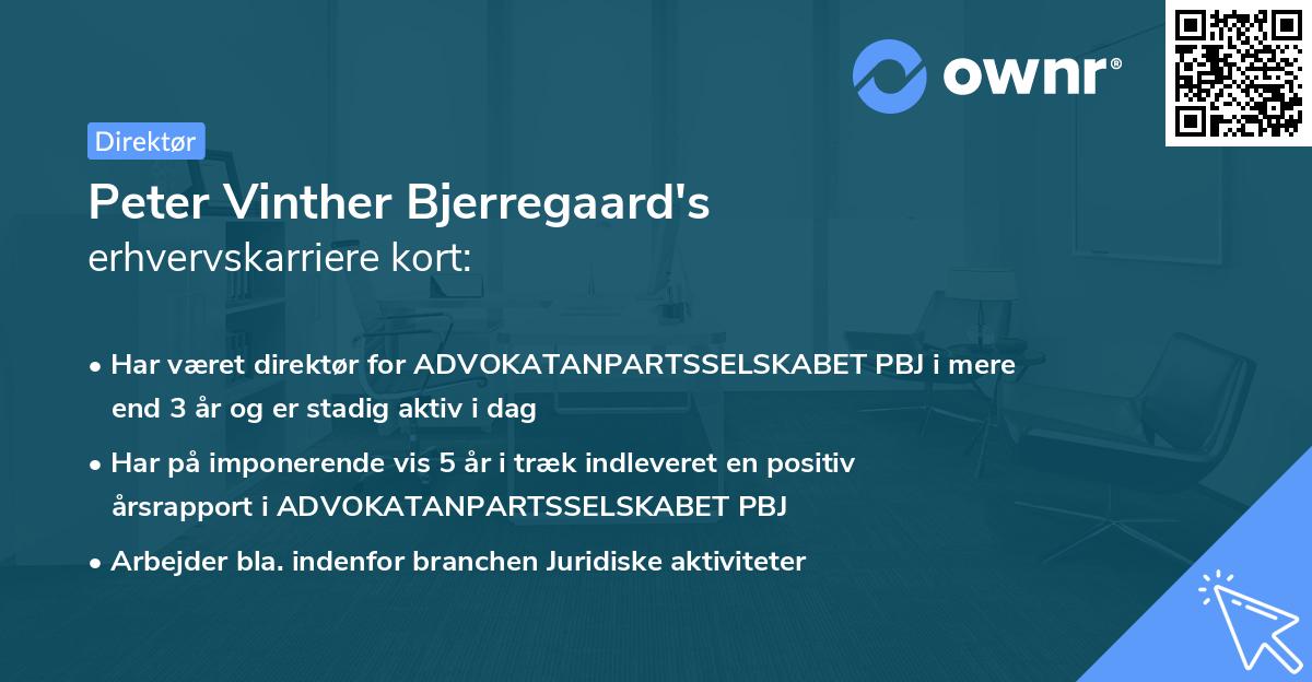 Peter Vinther Bjerregaard's erhvervskarriere kort