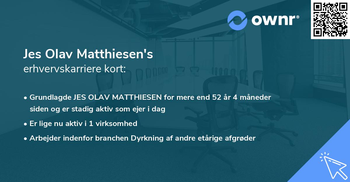 Jes Olav Matthiesen's erhvervskarriere kort