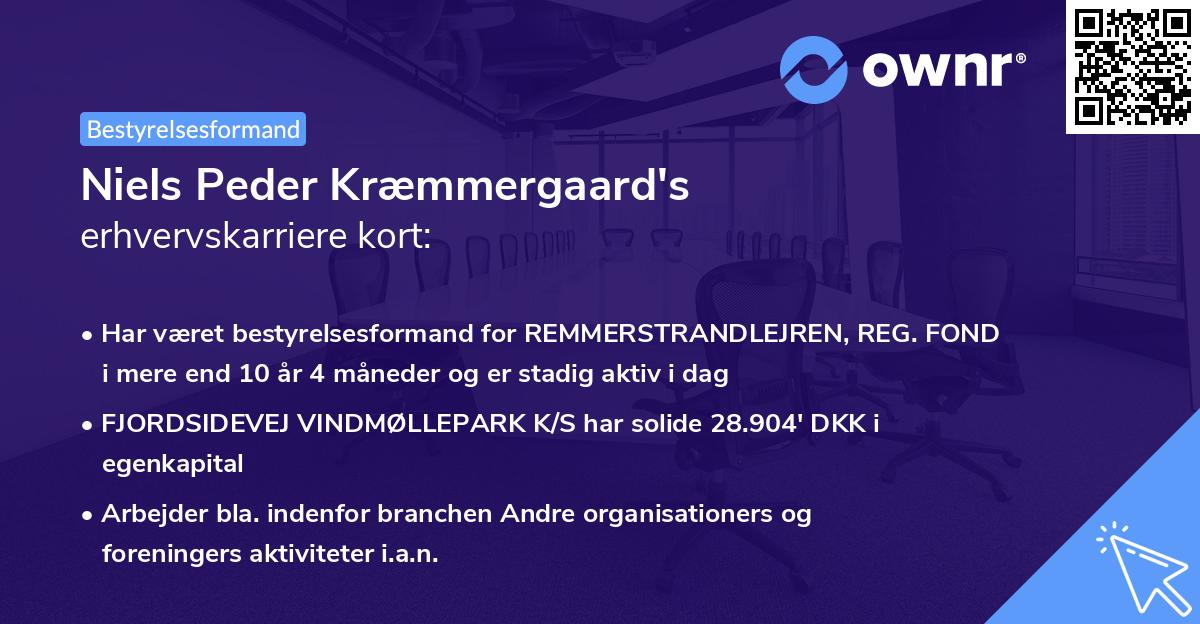 Niels Peder Kræmmergaard's erhvervskarriere kort