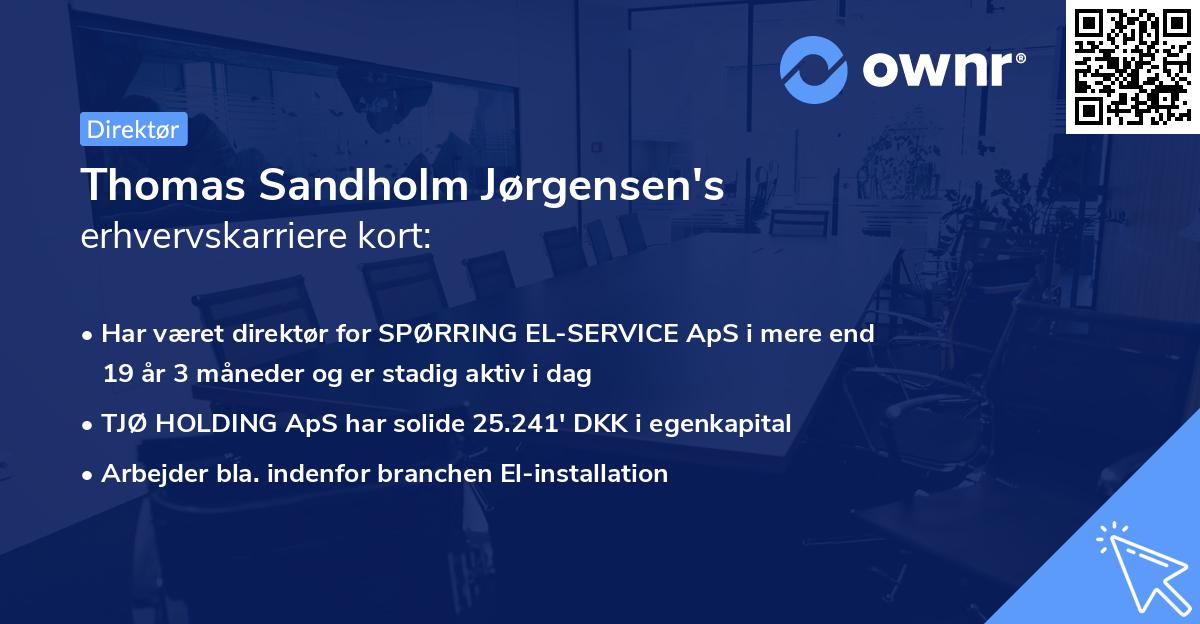 Thomas Sandholm Jørgensen's erhvervskarriere kort