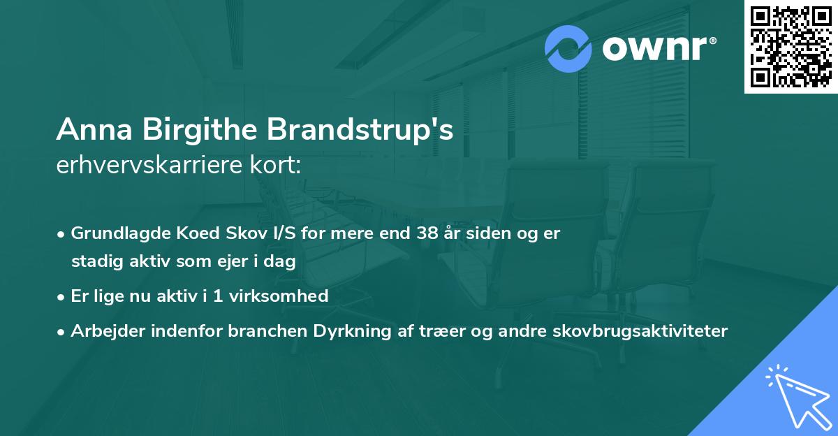 Anna Birgithe Brandstrup's erhvervskarriere kort