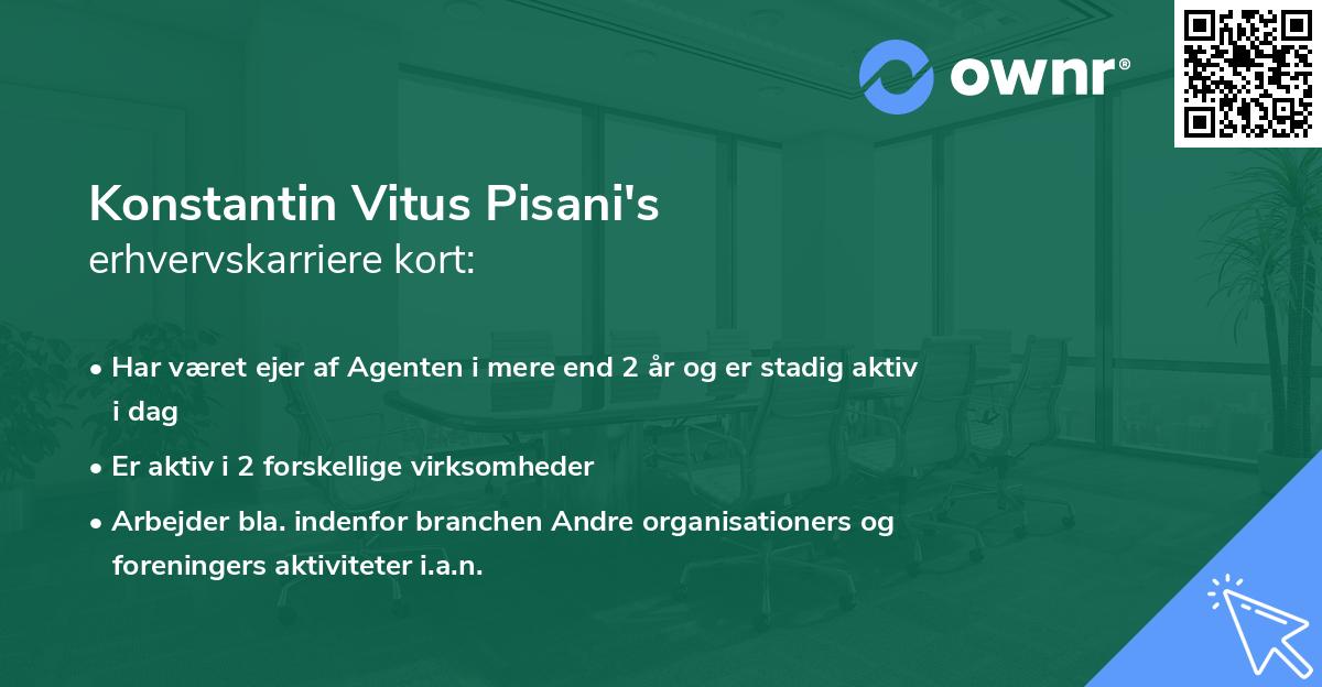Konstantin Vitus Pisani's erhvervskarriere kort