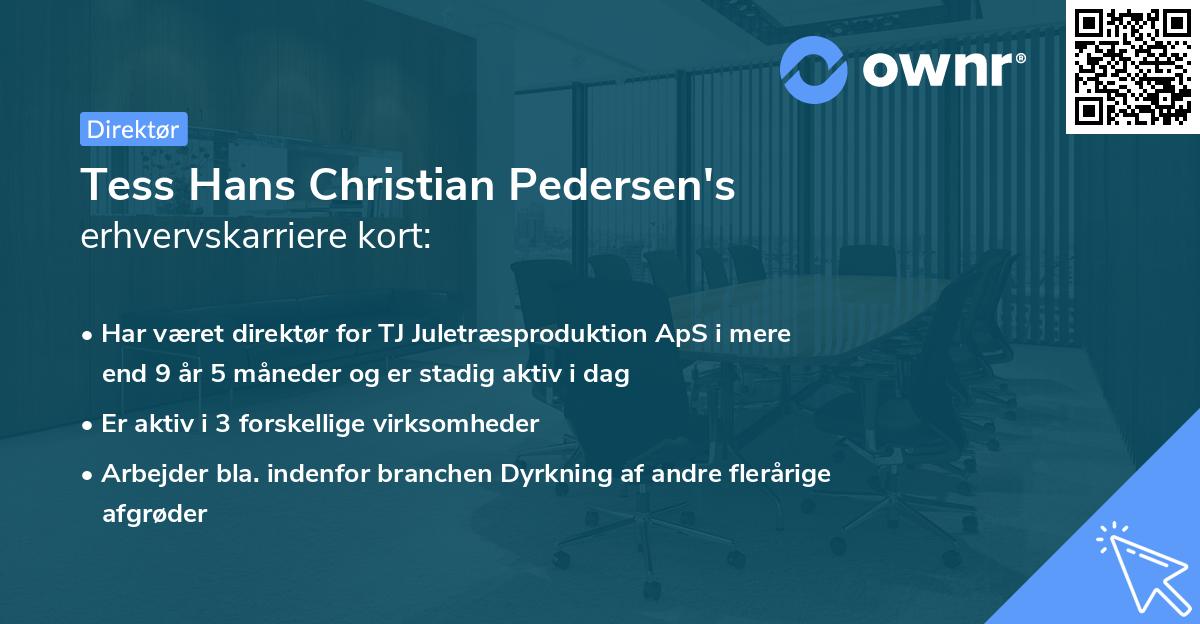Tess Hans Christian Pedersen's erhvervskarriere kort
