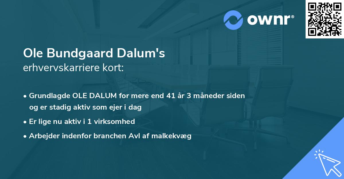 Ole Bundgaard Dalum's erhvervskarriere kort