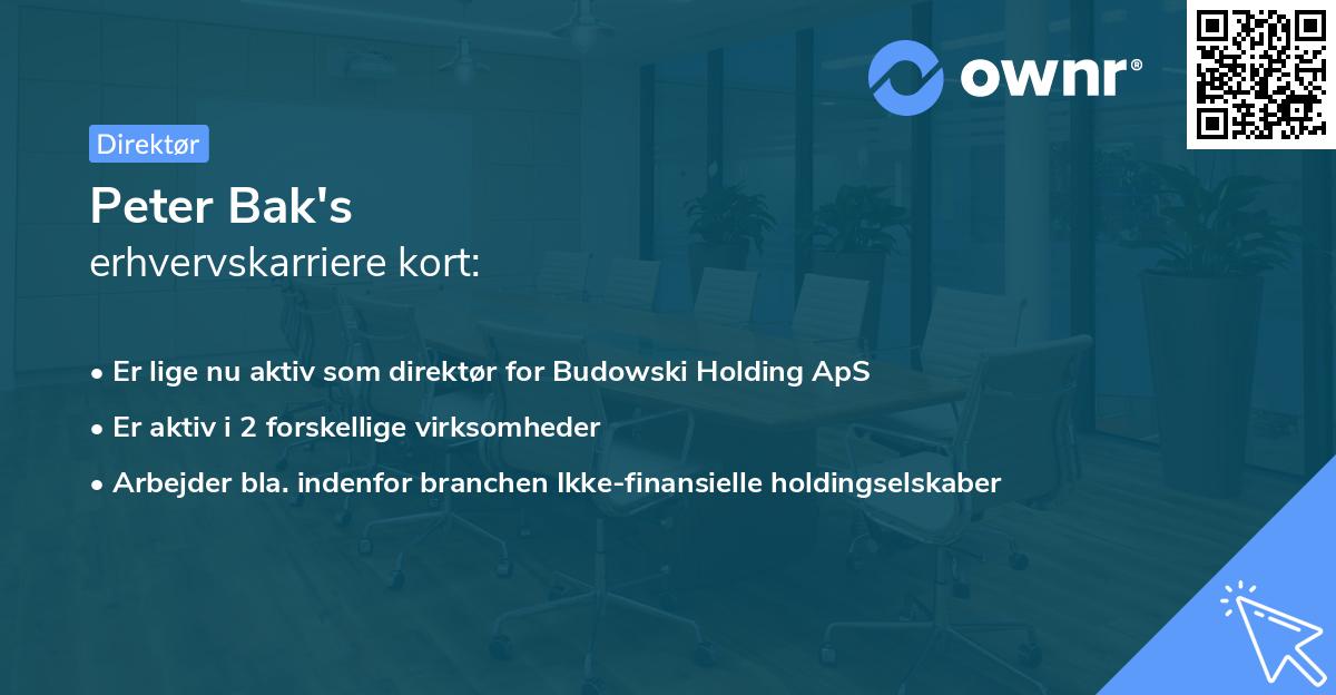 Peter Bak's erhvervskarriere kort