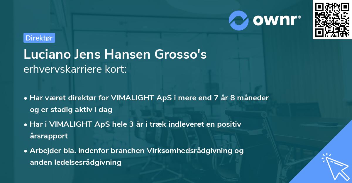 Luciano Jens Hansen Grosso's erhvervskarriere kort