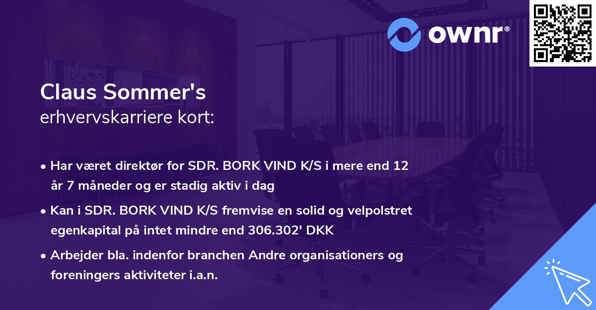 Claus Sommer's erhvervskarriere kort