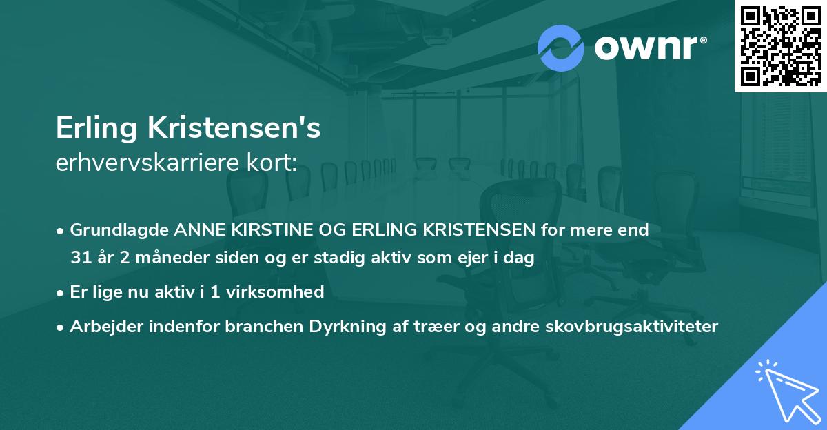 Erling Kristensen's erhvervskarriere kort