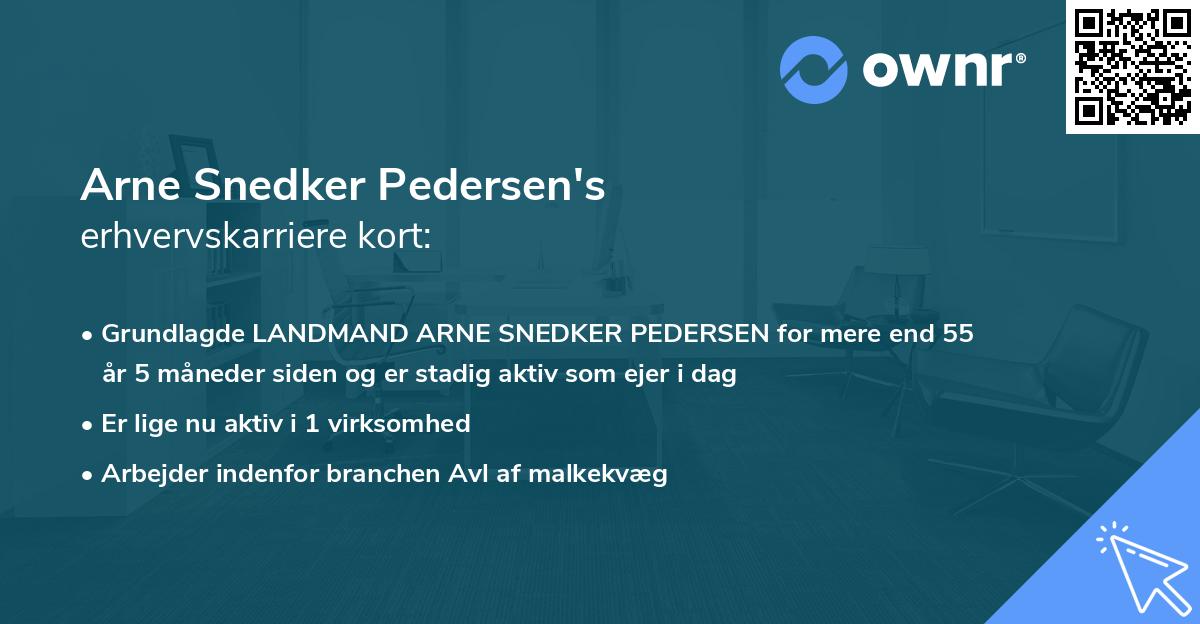 Arne Snedker Pedersen's erhvervskarriere kort