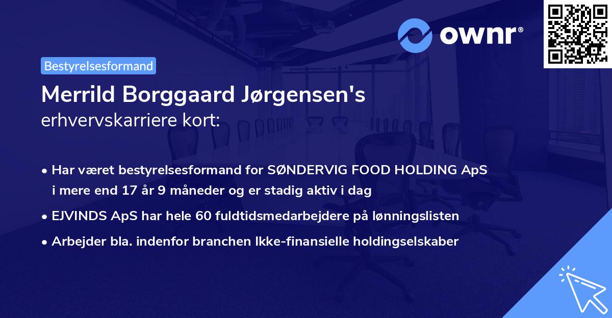 Merrild Borggaard Jørgensen's erhvervskarriere kort