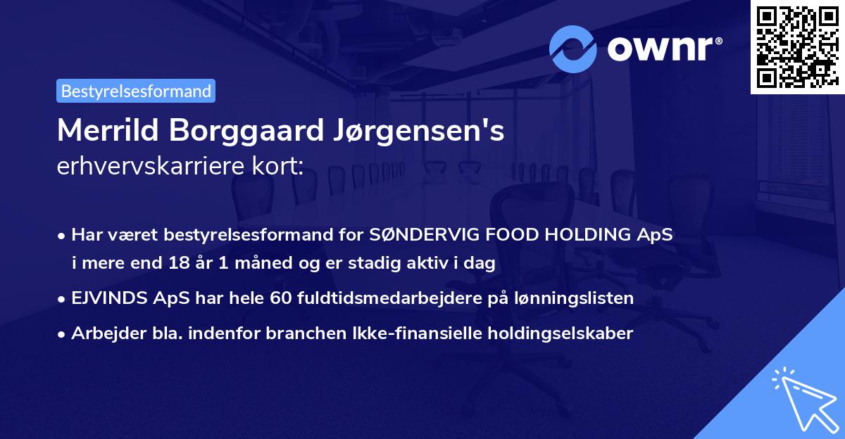 Merrild Borggaard Jørgensen's erhvervskarriere kort