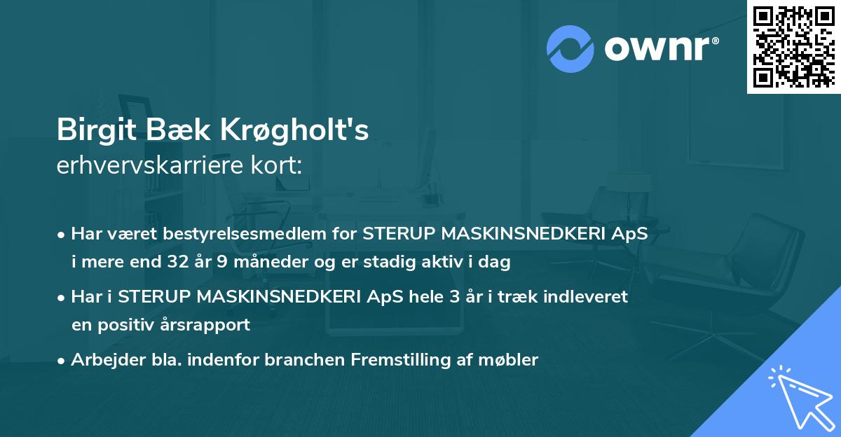 Birgit Bæk Krøgholt's erhvervskarriere kort