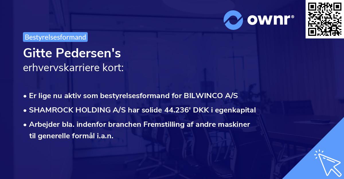 Gitte Pedersen's erhvervskarriere kort