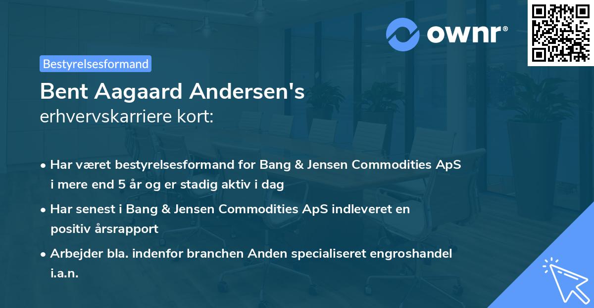 Bent Aagaard Andersen's erhvervskarriere kort