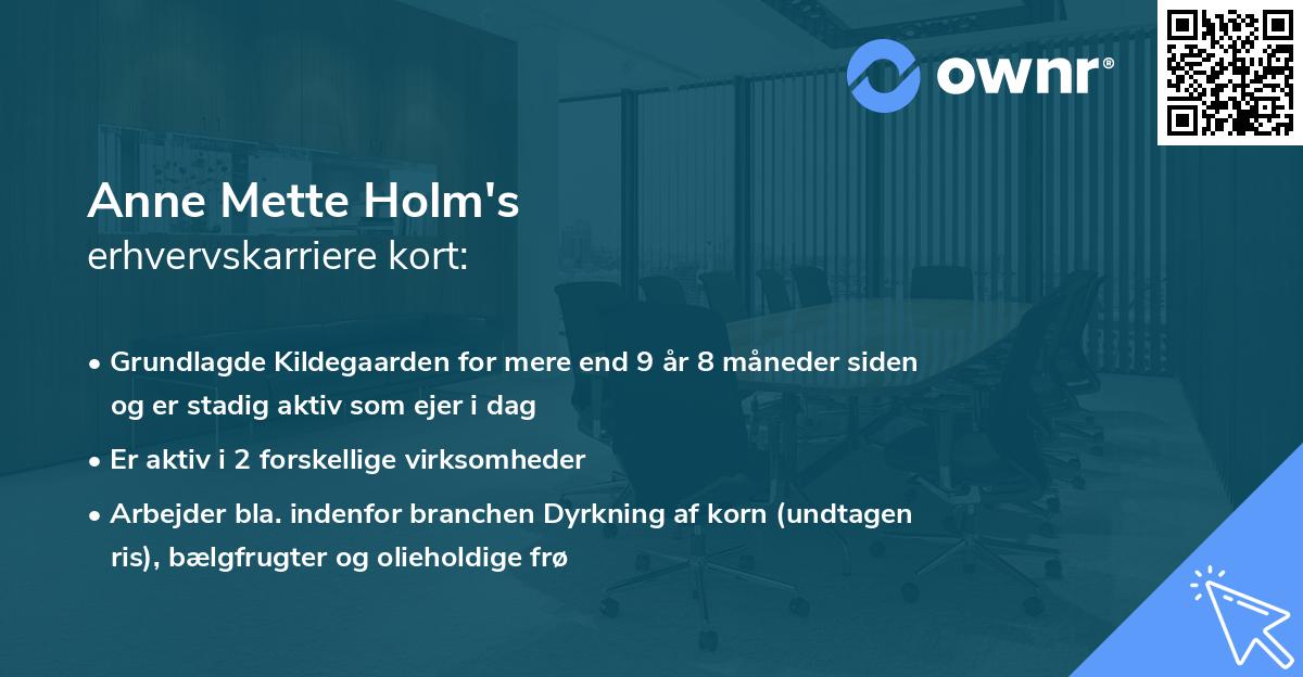 Anne Mette Holm's erhvervskarriere kort