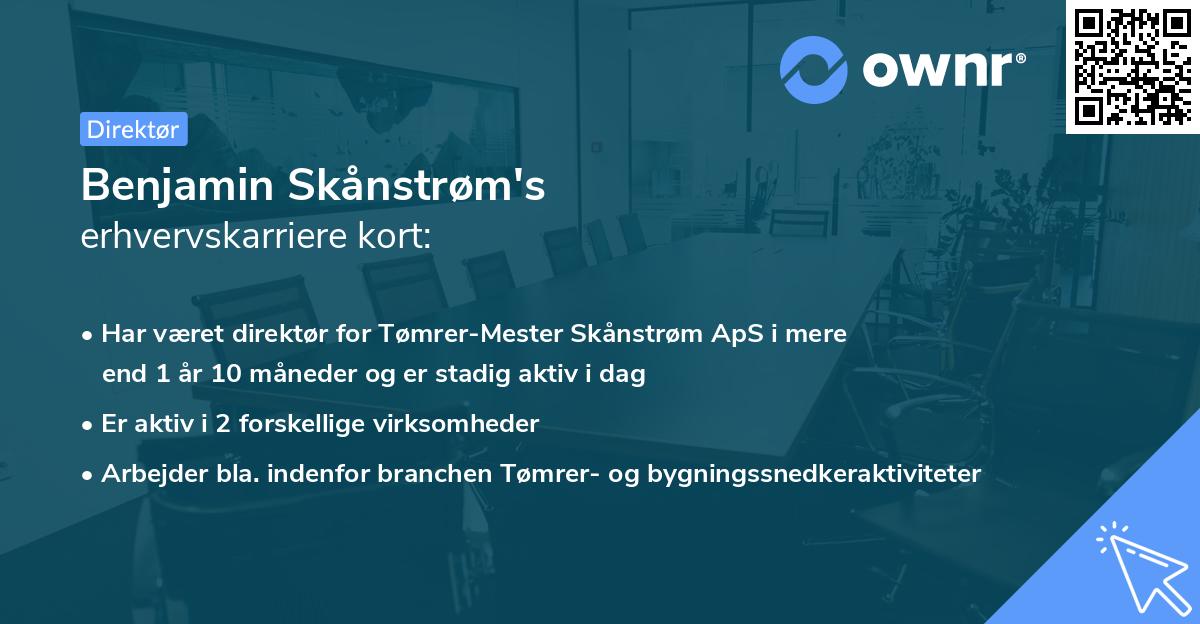 Benjamin Skånstrøm's erhvervskarriere kort