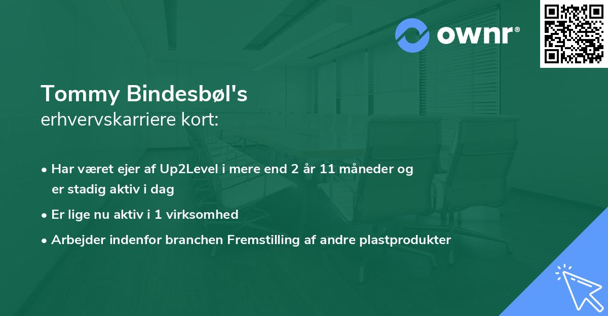 Tommy Bindesbøl's erhvervskarriere kort