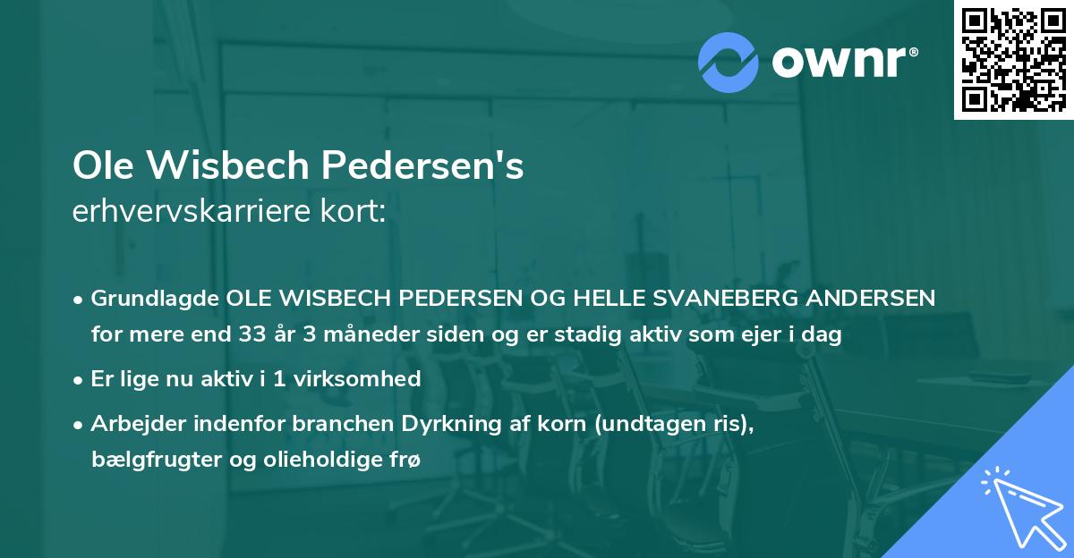 Ole Wisbech Pedersen's erhvervskarriere kort