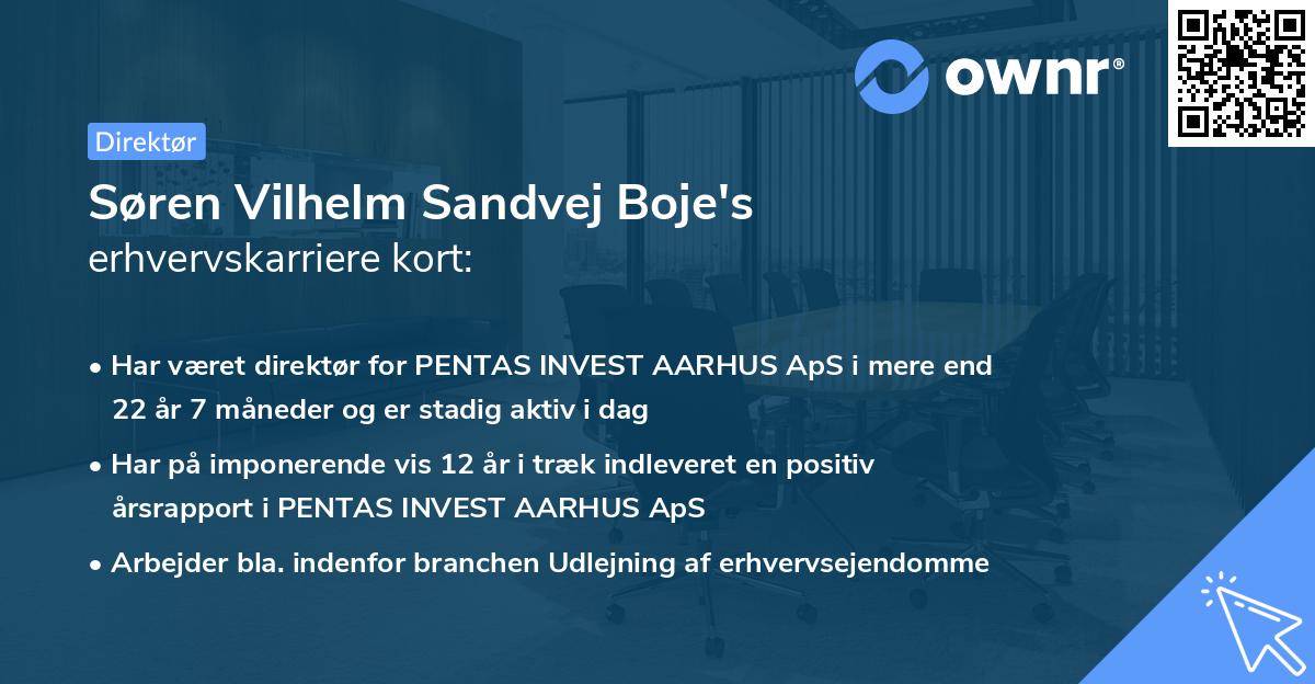 Søren Vilhelm Sandvej Boje's erhvervskarriere kort