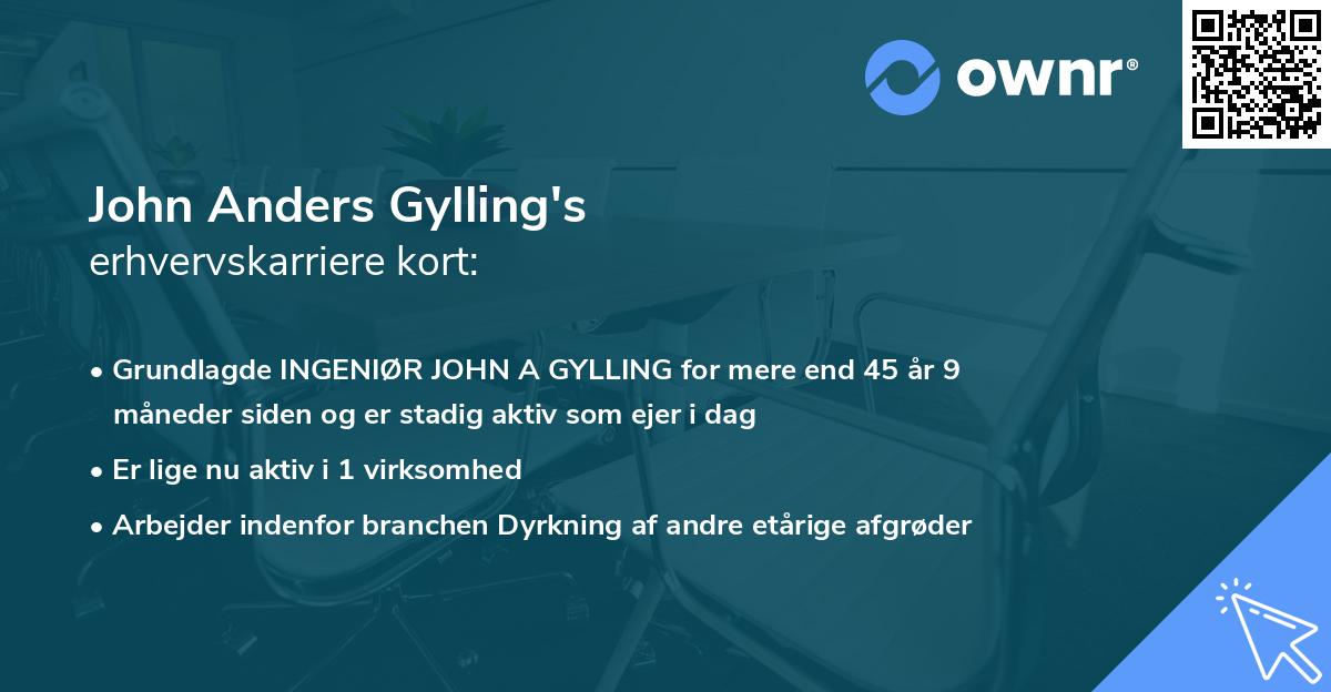 John Anders Gylling's erhvervskarriere kort