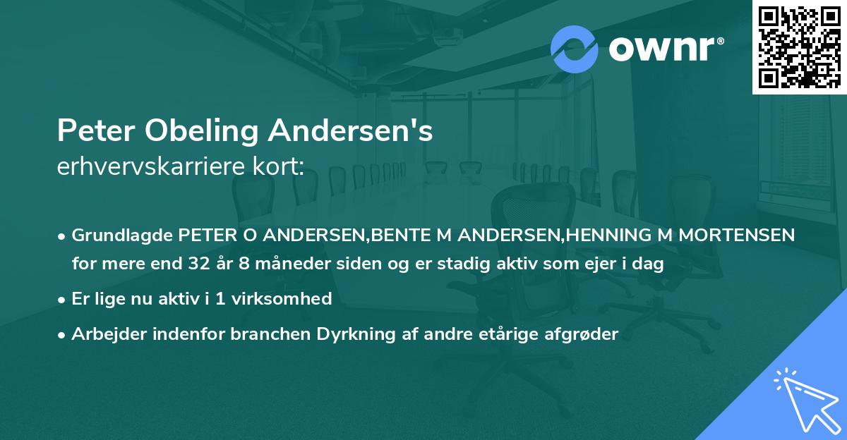 Peter Obeling Andersen's erhvervskarriere kort