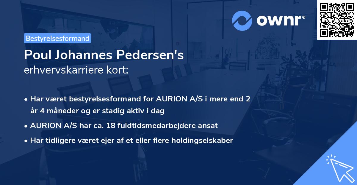 Poul Johannes Pedersen's erhvervskarriere kort