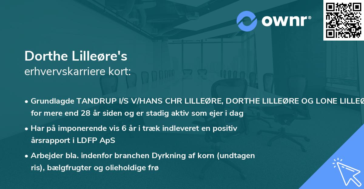 Dorthe Lilleøre's erhvervskarriere kort