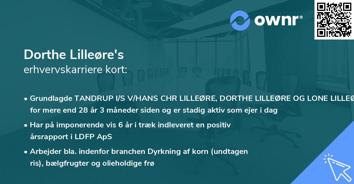 Dorthe Lilleøre's erhvervskarriere kort