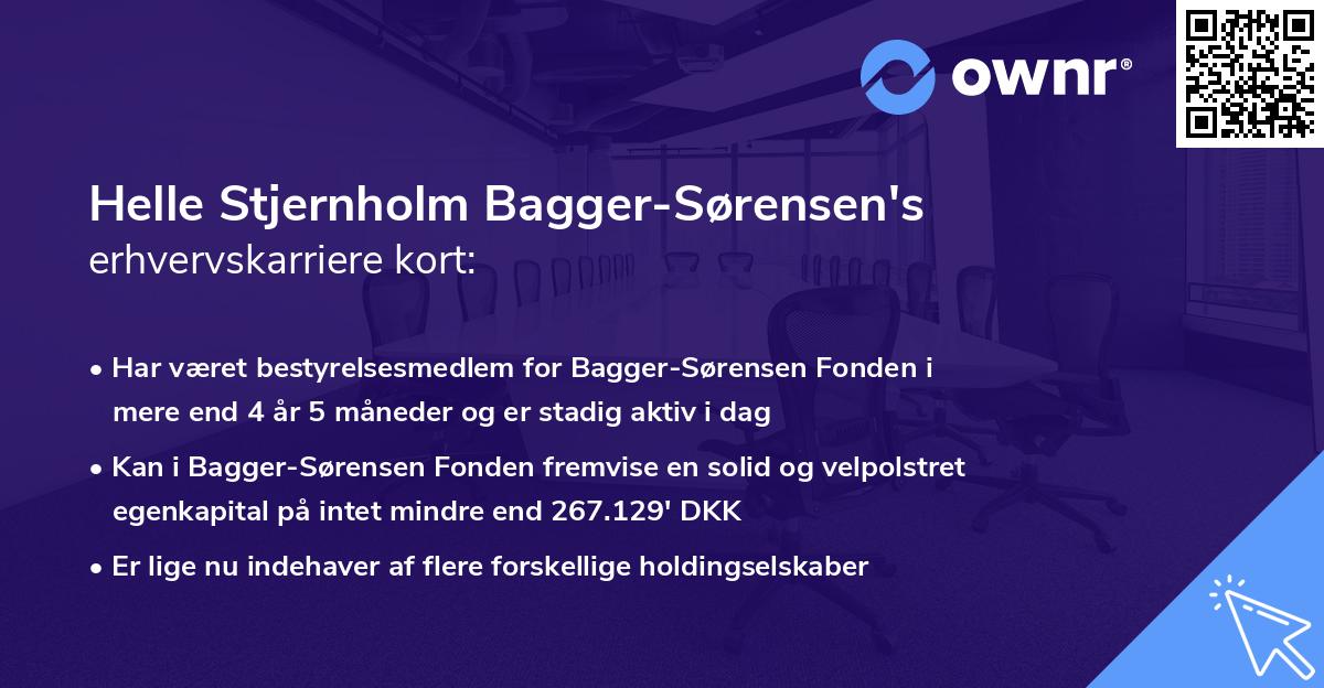 Helle Stjernholm Bagger-Sørensen's erhvervskarriere kort