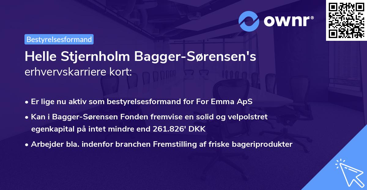 Helle Stjernholm Bagger-Sørensen's erhvervskarriere kort