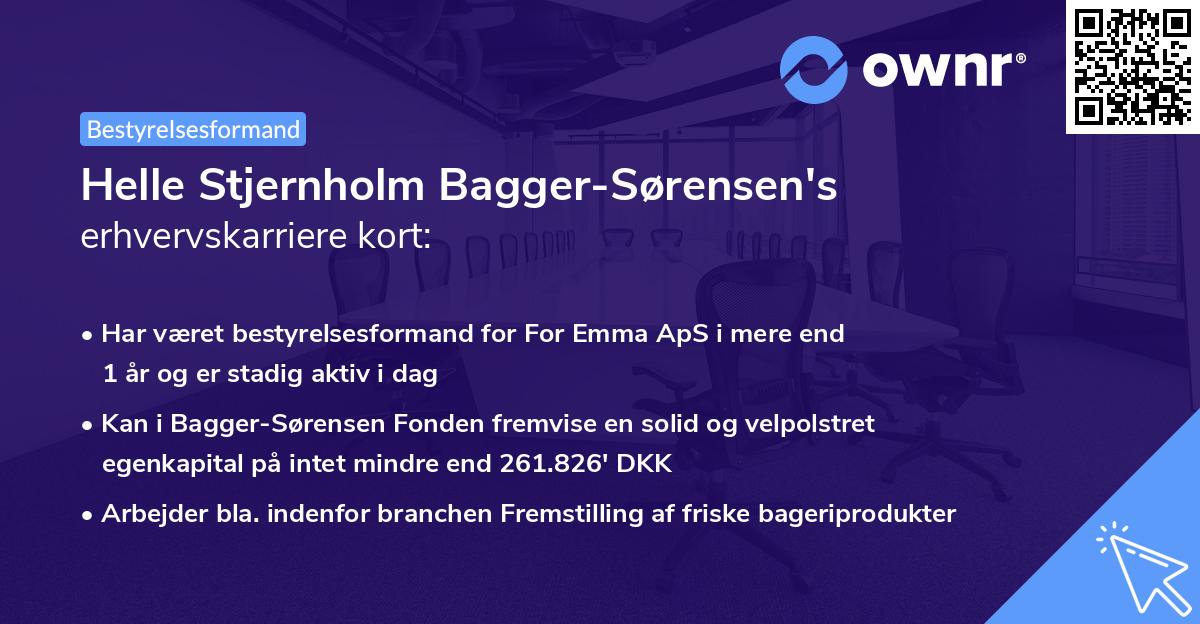 Helle Stjernholm Bagger-Sørensen's erhvervskarriere kort