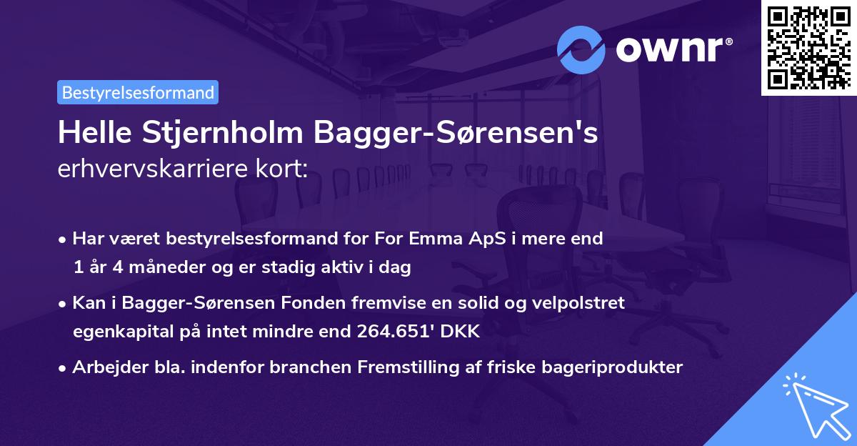 Helle Stjernholm Bagger-Sørensen's erhvervskarriere kort