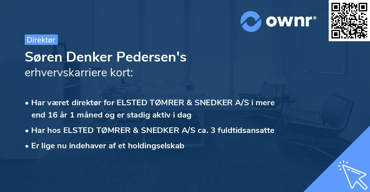 Søren Denker Pedersen's erhvervskarriere kort