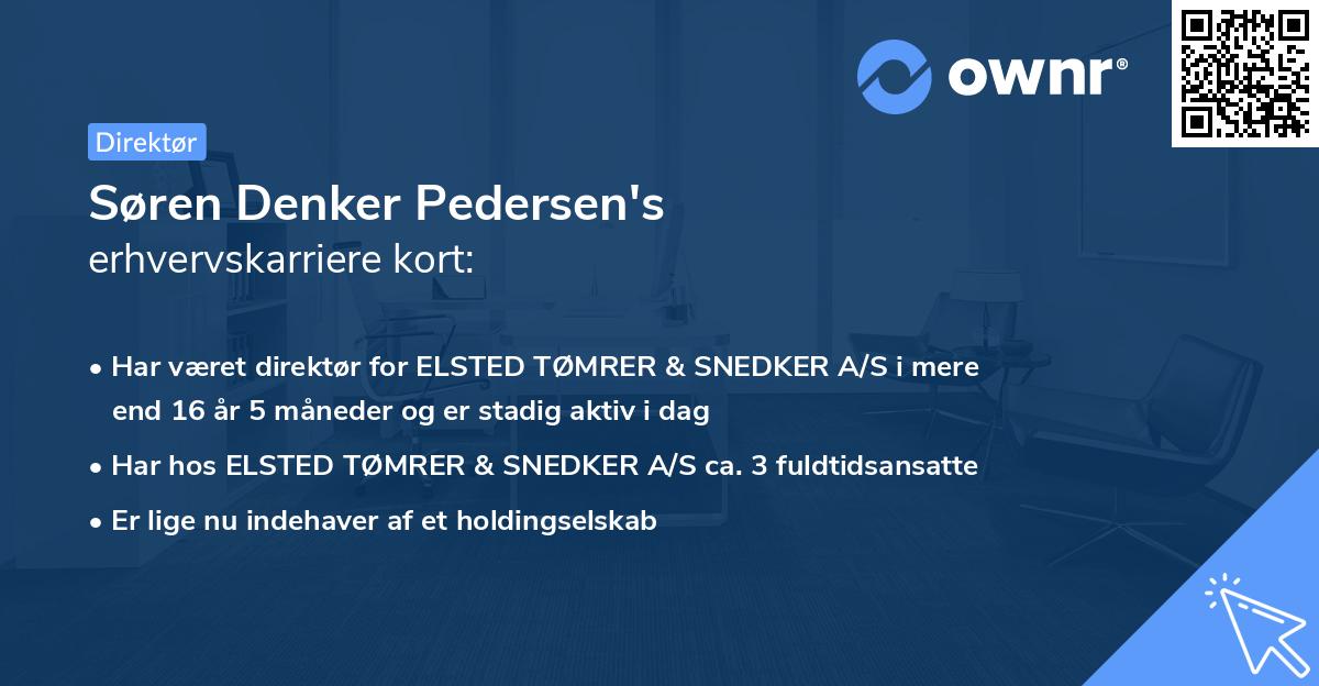 Søren Denker Pedersen's erhvervskarriere kort