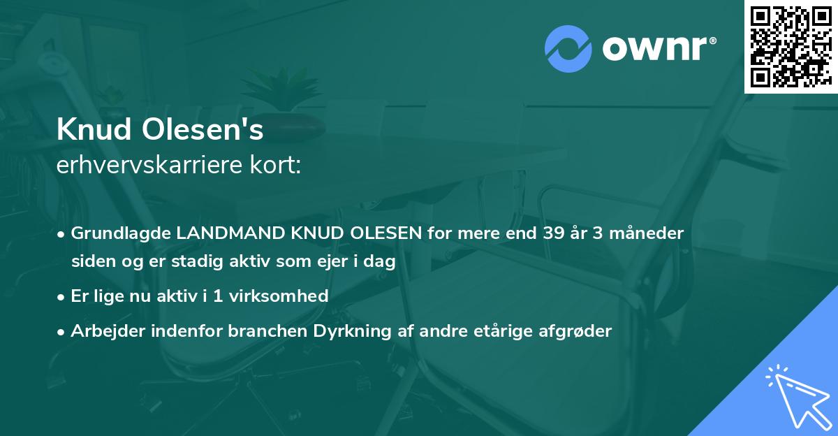 Knud Olesen's erhvervskarriere kort