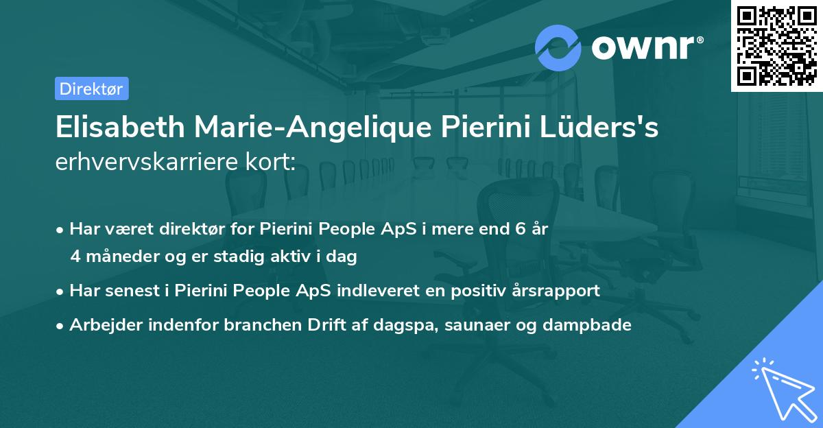 Elisabeth Marie-Angelique Pierini Lüders's erhvervskarriere kort