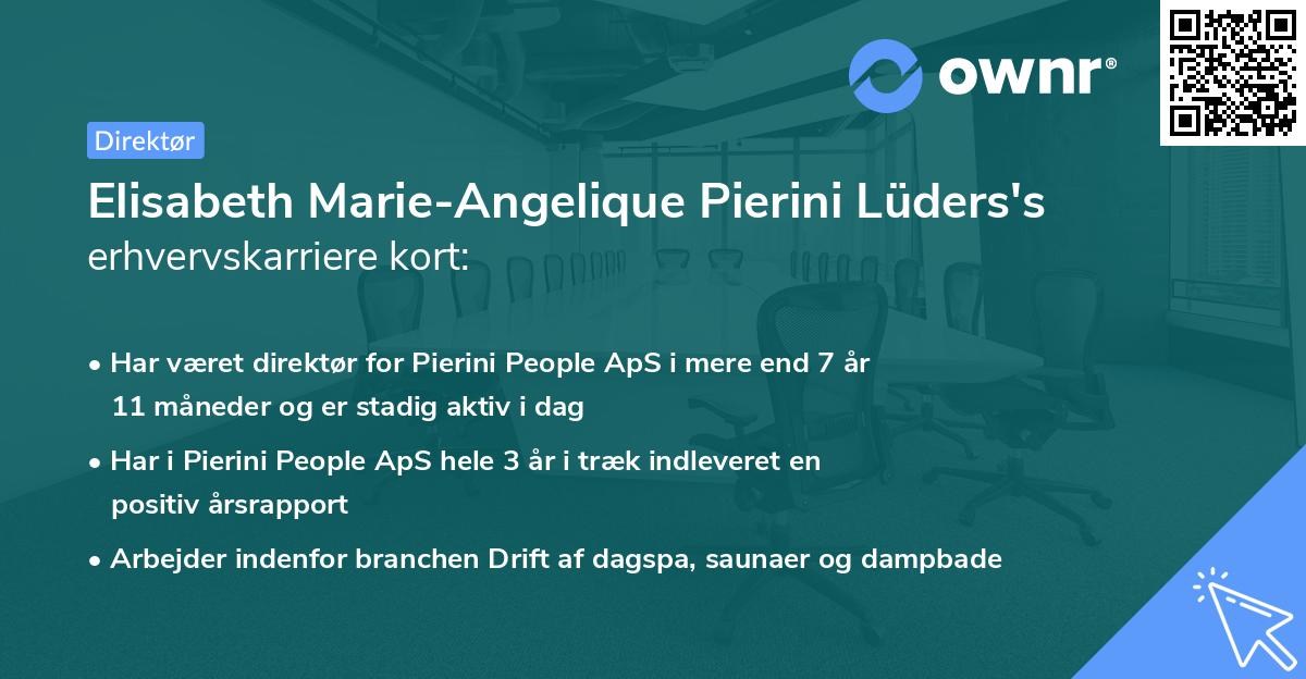 Elisabeth Marie-Angelique Pierini Lüders's erhvervskarriere kort