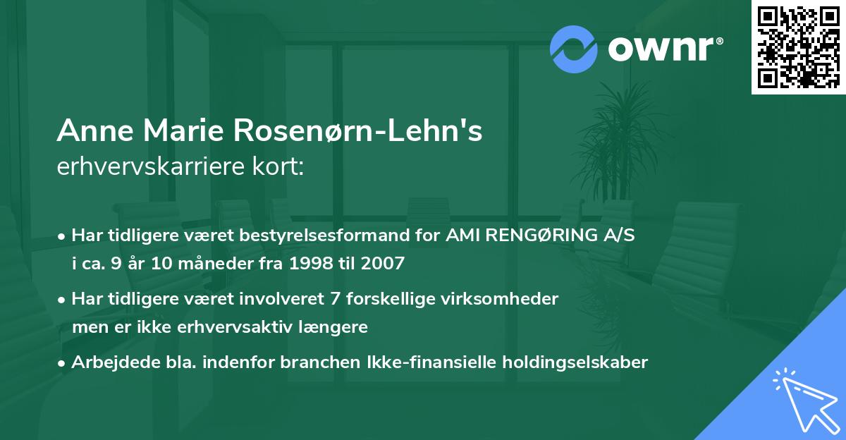 Anne Marie Rosenørn-Lehn's erhvervskarriere kort