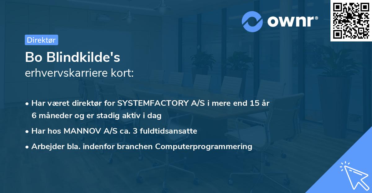 Bo Blindkilde's erhvervskarriere kort