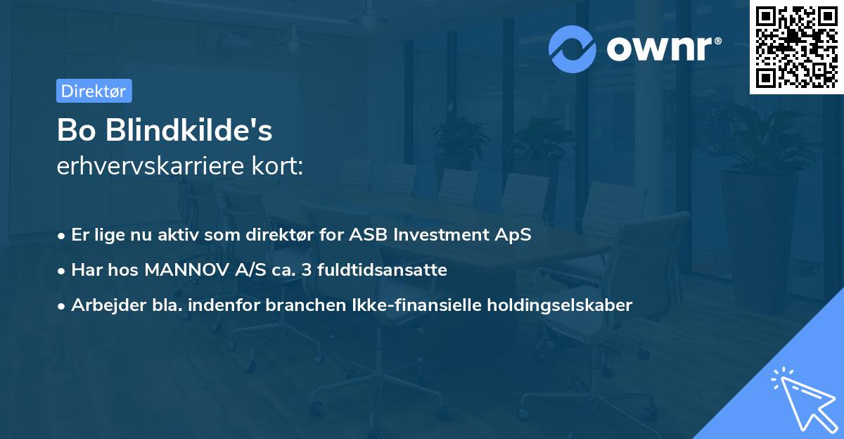 Bo Blindkilde's erhvervskarriere kort