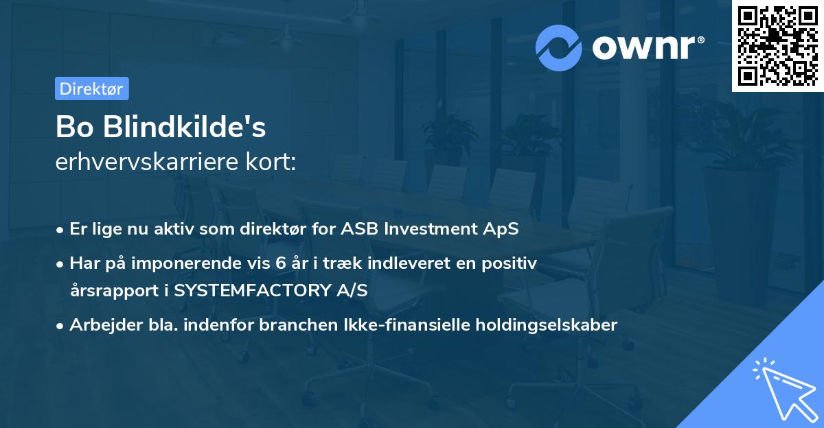 Bo Blindkilde's erhvervskarriere kort