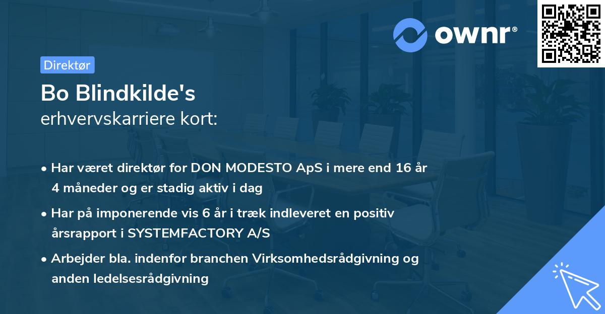 Bo Blindkilde's erhvervskarriere kort
