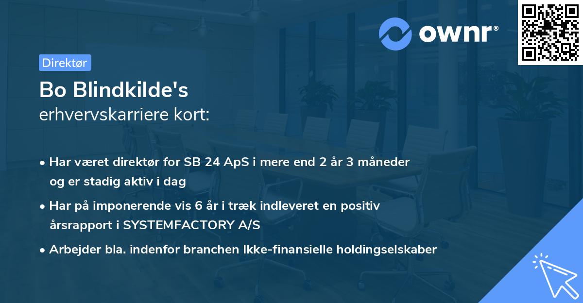 Bo Blindkilde's erhvervskarriere kort