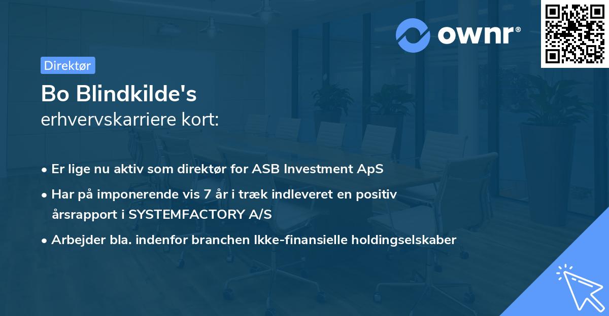 Bo Blindkilde's erhvervskarriere kort