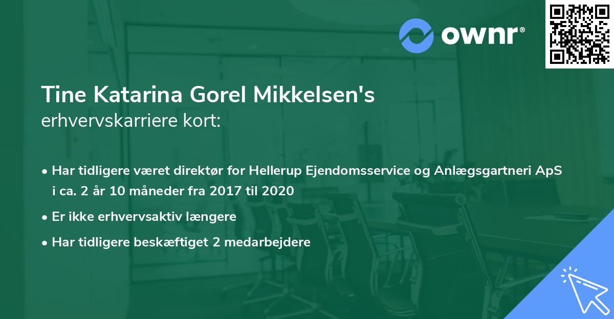 Tine Katarina Gorel Mikkelsen's erhvervskarriere kort