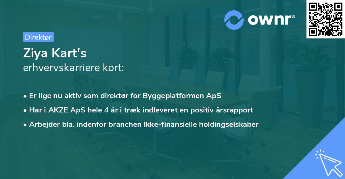 Ziya Kart's erhvervskarriere kort