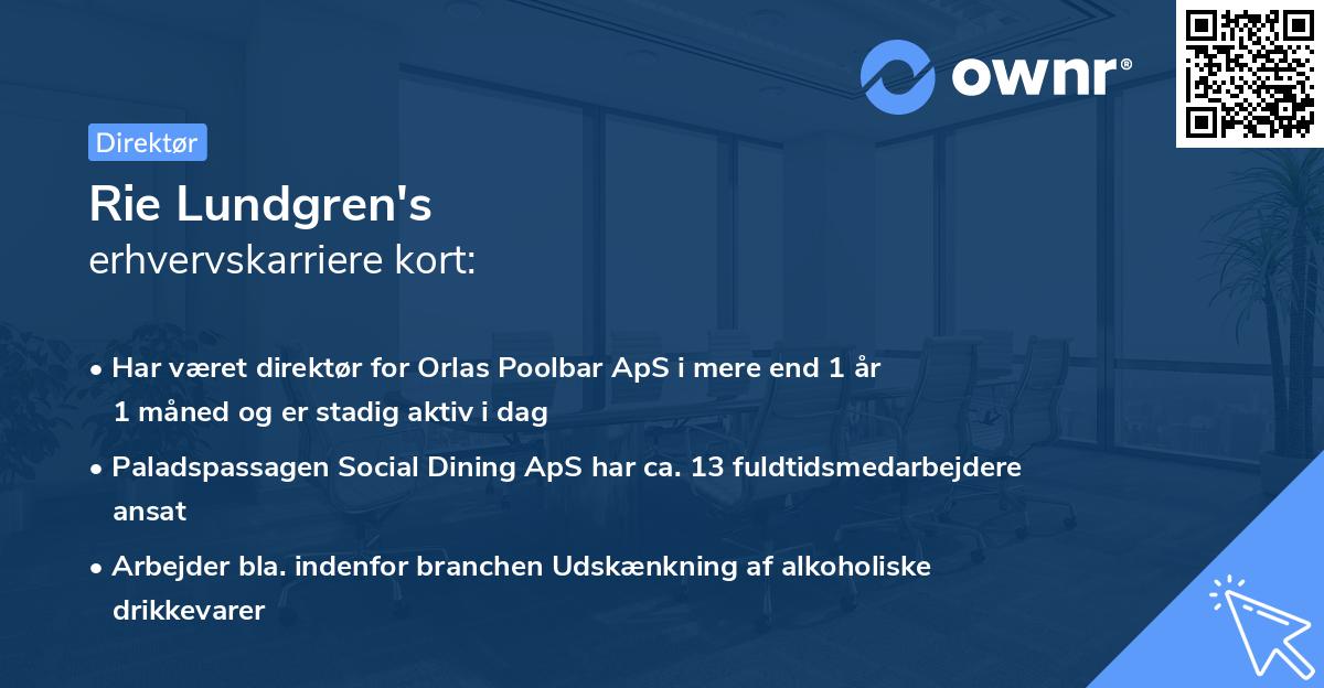 Rie Lundgren's erhvervskarriere kort