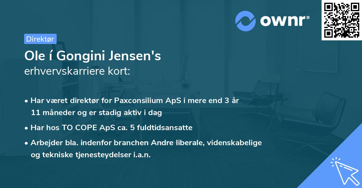 Ole í Gongini Jensen's erhvervskarriere kort