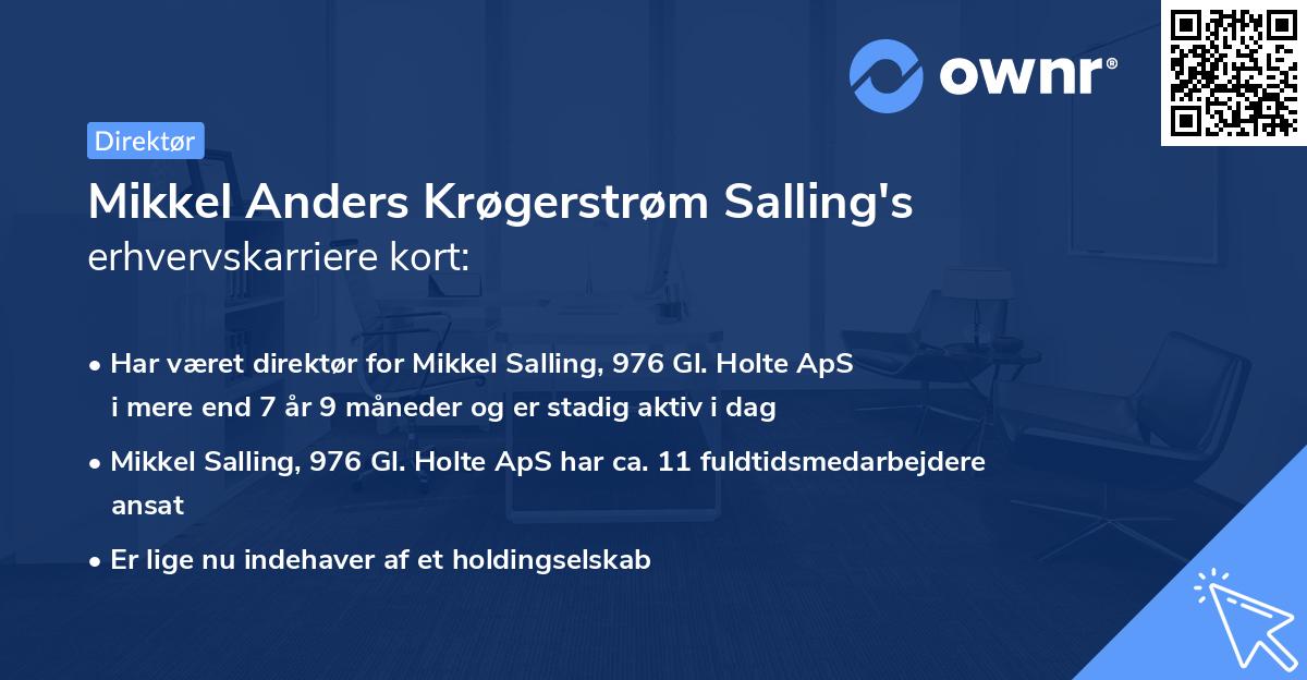 Mikkel Anders Krøgerstrøm Salling's erhvervskarriere kort