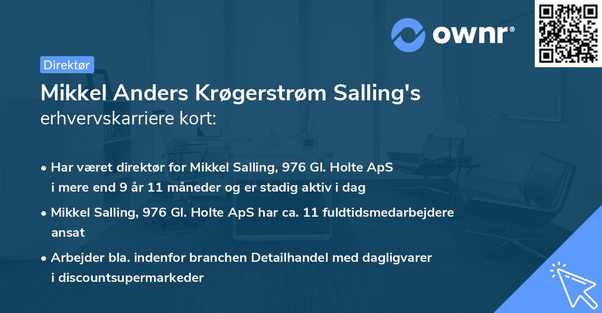 Mikkel Anders Krøgerstrøm Salling's erhvervskarriere kort